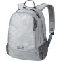 Rucksack Jack Wolfskin Perfect Day 22 grau LeafGray