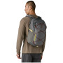 Rucksack Patagonia Refugio Day Pack 30L