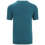 Herren-Funktionsshirt Icebreaker Men Tech Lite II SS Tee Cadence Paths