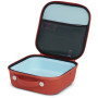 Snack-Box Hydro Flask Small Insulated Lunch Box