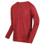 Herren-T-Shirt Regatta Burlow rot Fiery Red