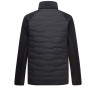 Herren-Hybridjacke Regatta Cyrus Hybrid