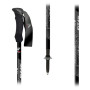 Trekkingstöcke Fizan Compact MS